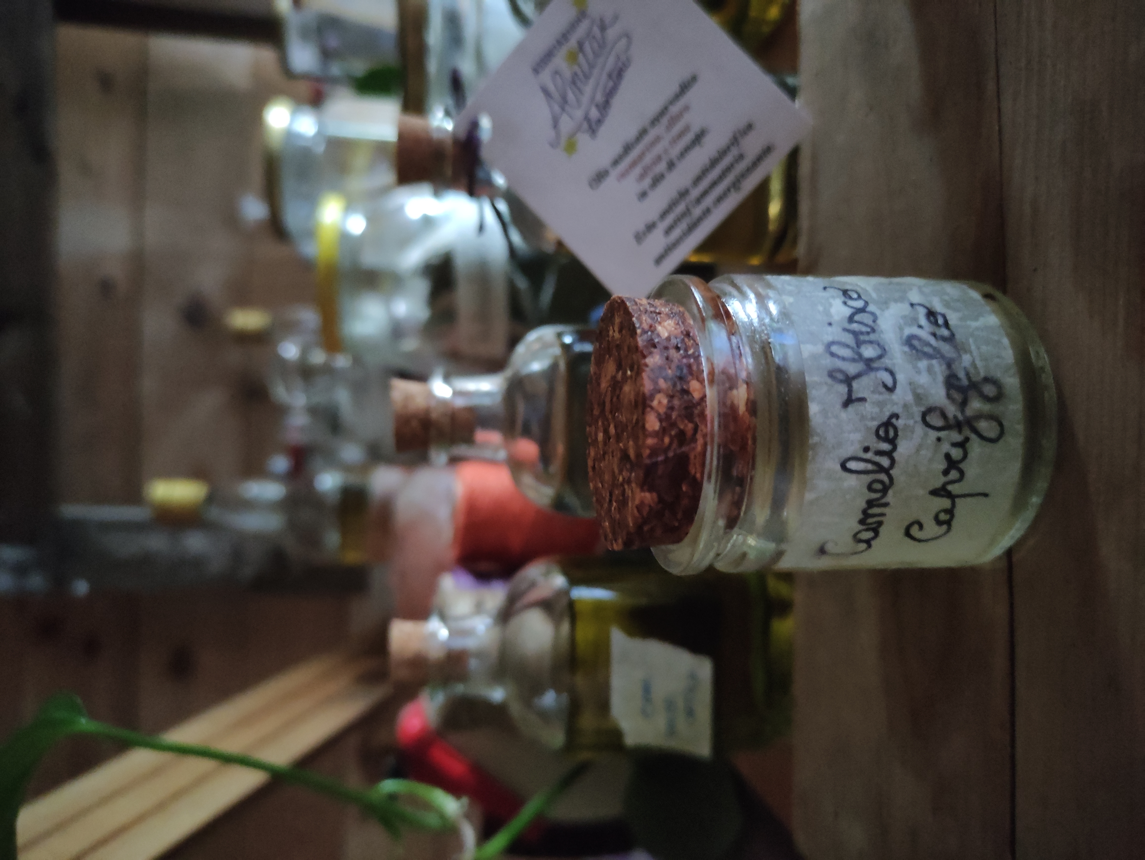 Medicated Oil (Thailam): Camellia, Hibiscus and Honeysuckle (50 ml dropper bottle)